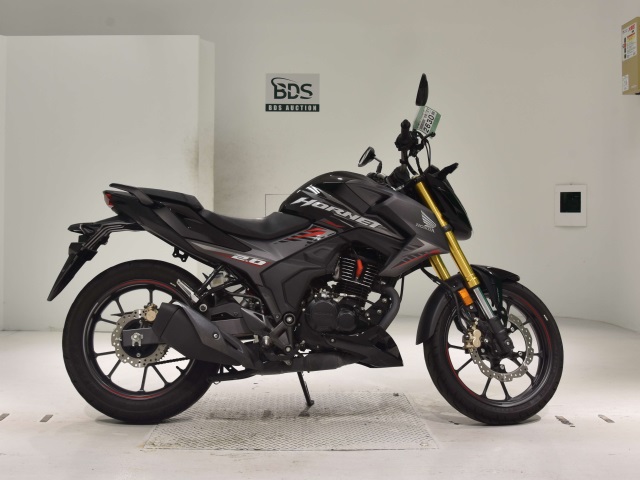 Honda HORNET 2.0 2020