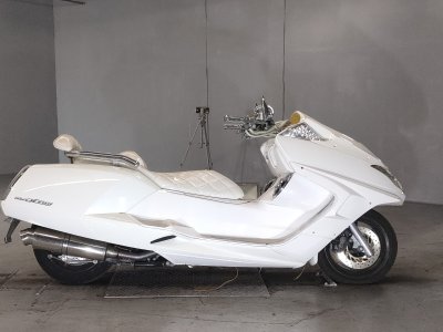 Yamaha MAGZAM 2007