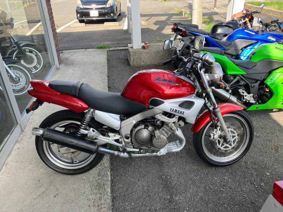 Yamaha ZEAL FZX250 1991