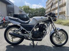 Yamaha SRX250F