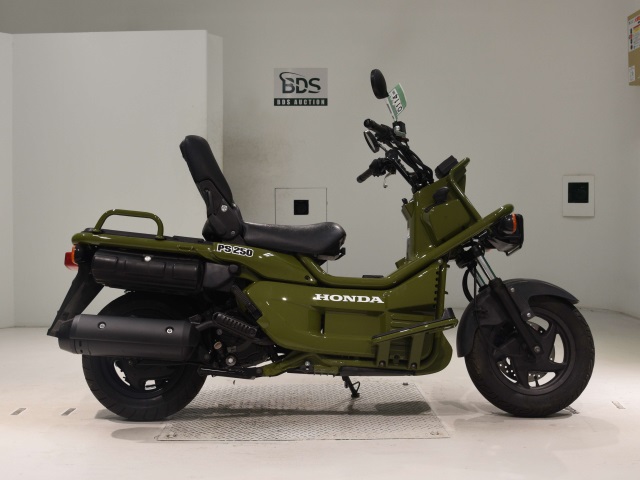 Honda PS250 BIG RUCKUS 2004