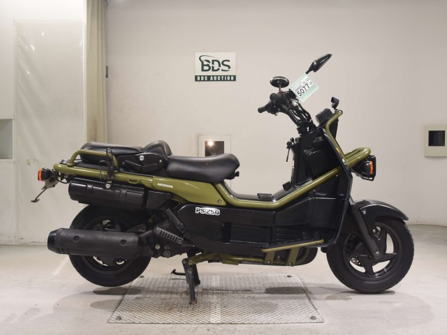 Honda PS250 BIG RUCKUS 2004