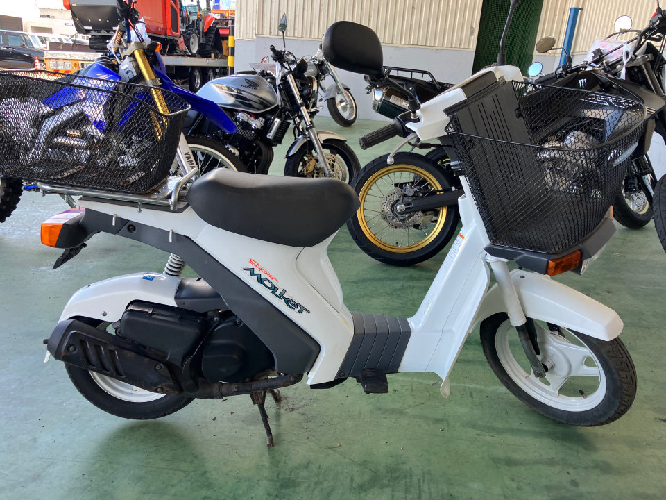 Suzuki MOLLET