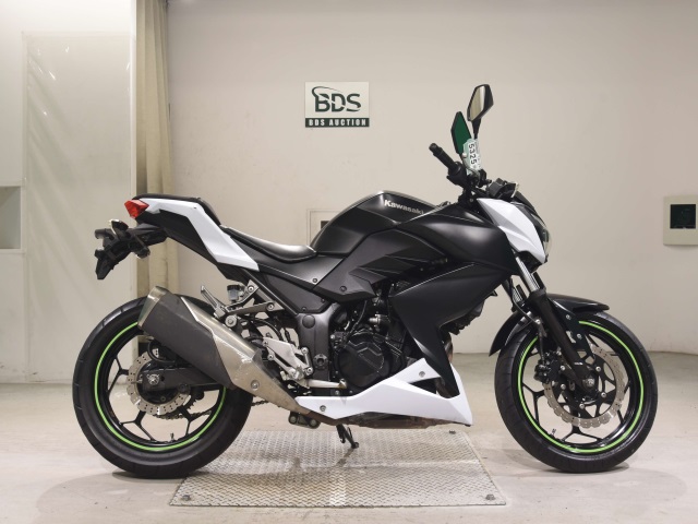 Kawasaki Z250 2014