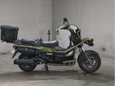 Honda PS250 BIG RUCKUS 2005