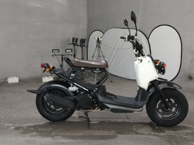 Honda ZOOMER 2012