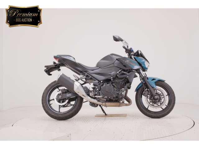 Kawasaki Z250 2021