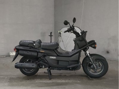 Honda PS250 BIG RUCKUS 2004