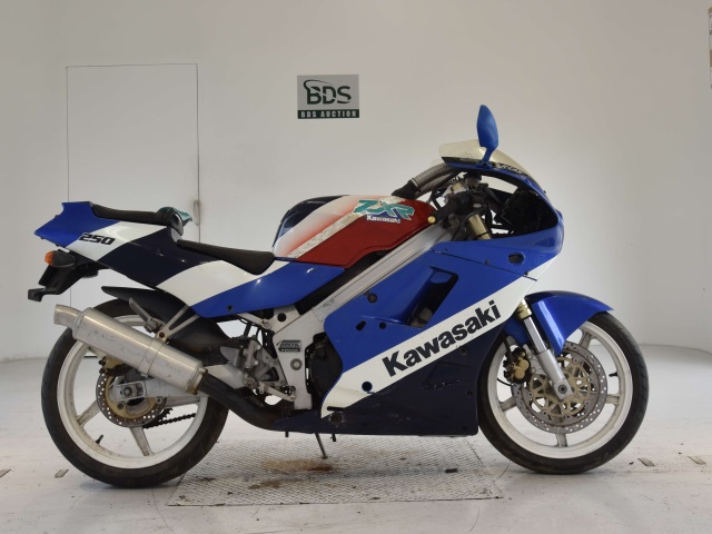 Kawasaki ZXR250 1990