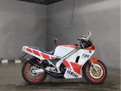 Yamaha TZR250
