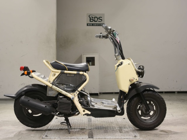 Honda ZOOMER-X 2003