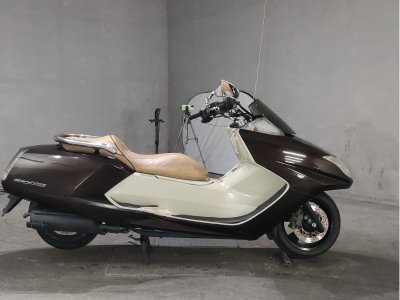 Yamaha MAGZAM 2007