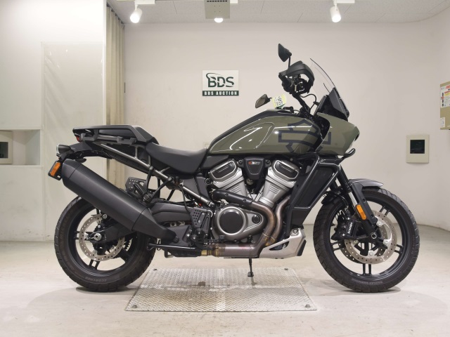 HD PAN AMERICA1250 S 2022