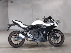 Suzuki GSX250R