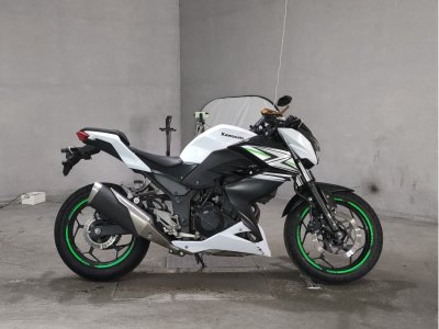 Kawasaki Z250 2014