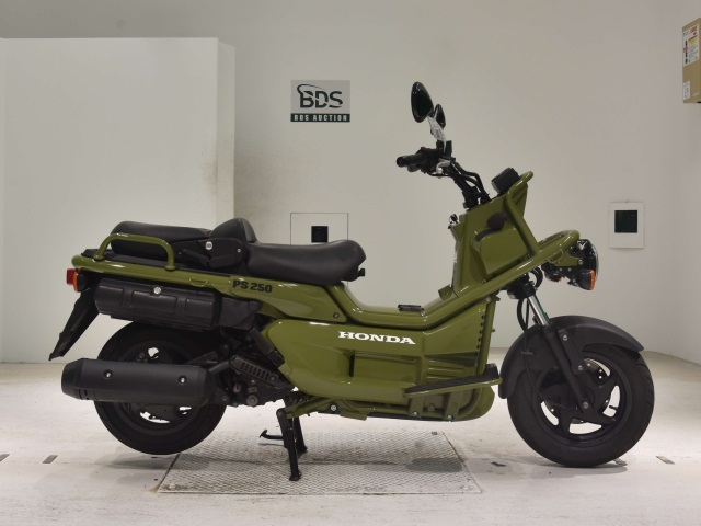 Honda PS250 BIG RUCKUS 2006