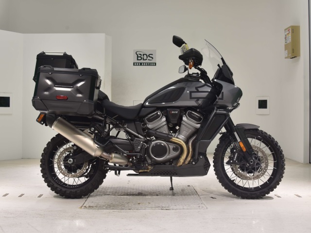 HD PAN AMERICA1250 S 2021