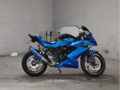 Kawasaki NINJA250 2016