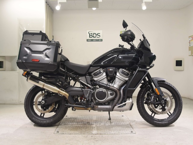 HD PAN AMERICA1250 S 2021