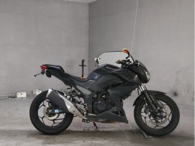 Kawasaki Z250 2013