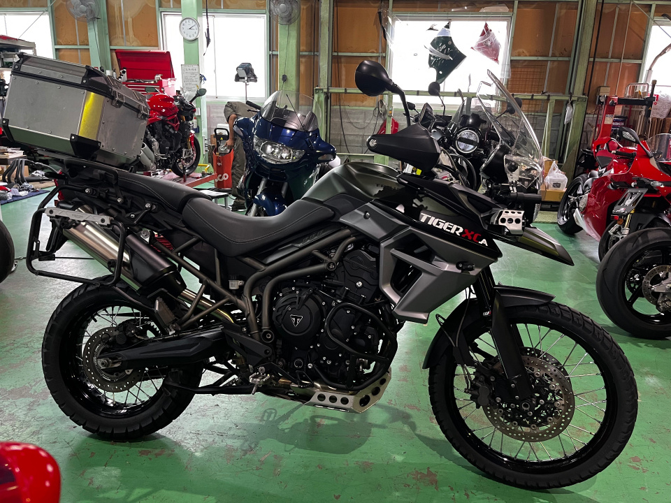 Triumph TIGER 800XCA 2018