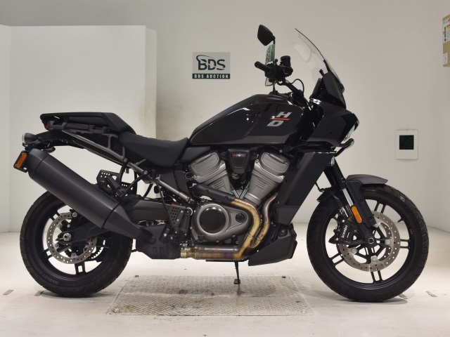 HD PAN AMERICA1250 2022