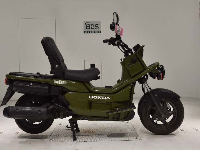 Honda PS250 BIG RUCKUS 2006