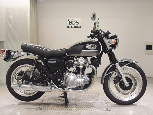 Kawasaki W800 2024