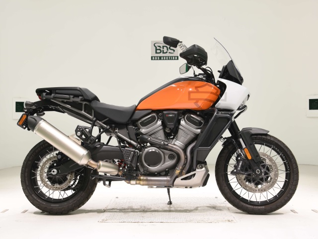 HD PAN AMERICA1250 S 2021