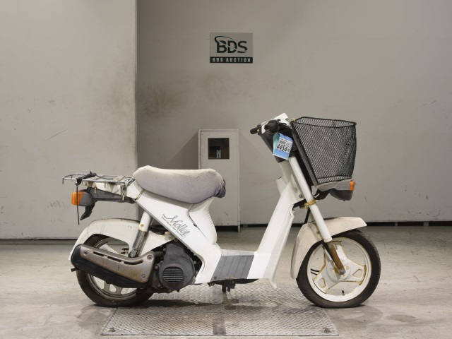 Suzuki MOLLET