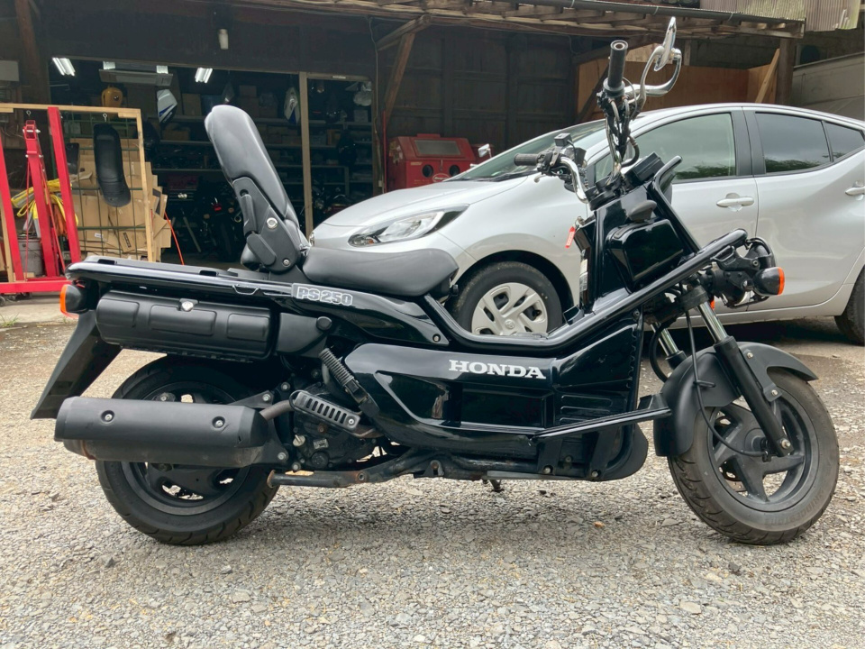 Honda PS250 BIG RUCKUS 2006
