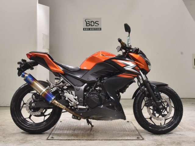 Kawasaki Z250 2014