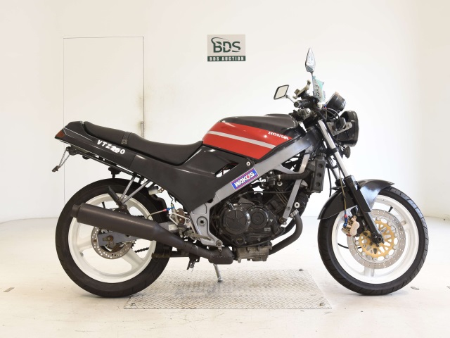 Honda VTZ250 1988