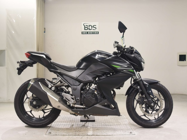 Kawasaki Z250 2013