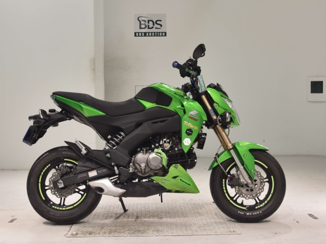 Kawasaki Z125 PRO 2016