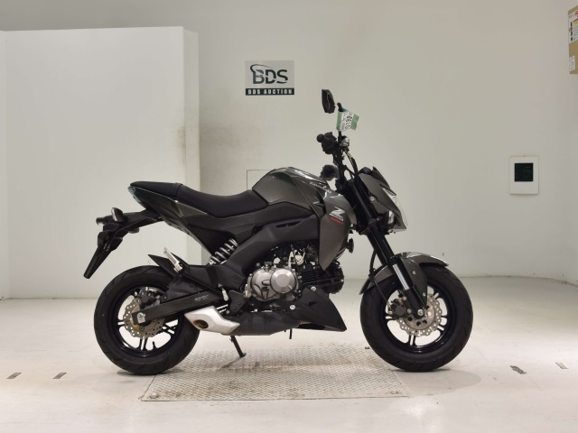 Kawasaki Z125 PRO 2018
