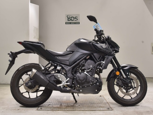 Yamaha MT-25 2022