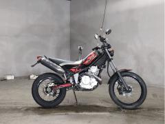 Yamaha TRICKER 2004