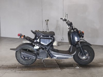 Honda ZOOMER 2008