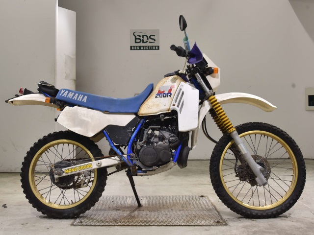 Yamaha DT200R