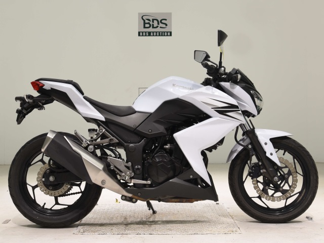 Kawasaki Z250 2013