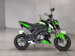Kawasaki Z125 PRO 2016