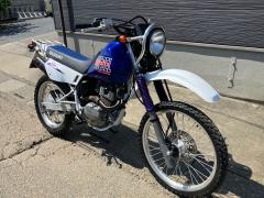 Suzuki DJEBEL200