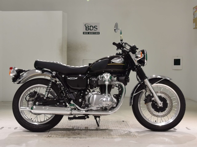 Kawasaki W800 2025