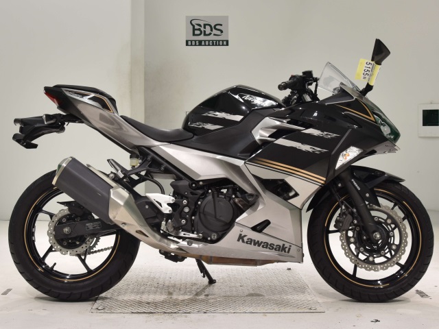 Kawasaki NINJA250 2019