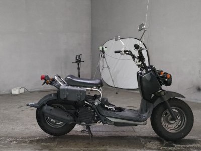 Honda ZOOMER 2009