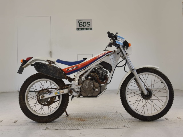 Honda TLR250R 1986