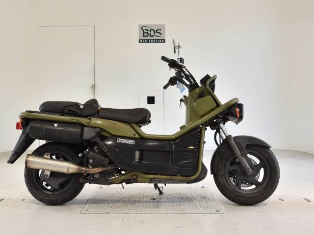 Honda PS250 BIG RUCKUS 2004