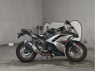 Kawasaki NINJA250 2013