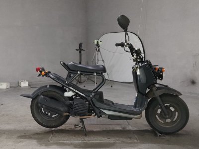 Honda ZOOMER 2009